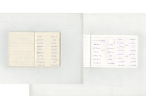 Image shows two scans of open pages in a notebook, there are notes written on the pages in blue ink.