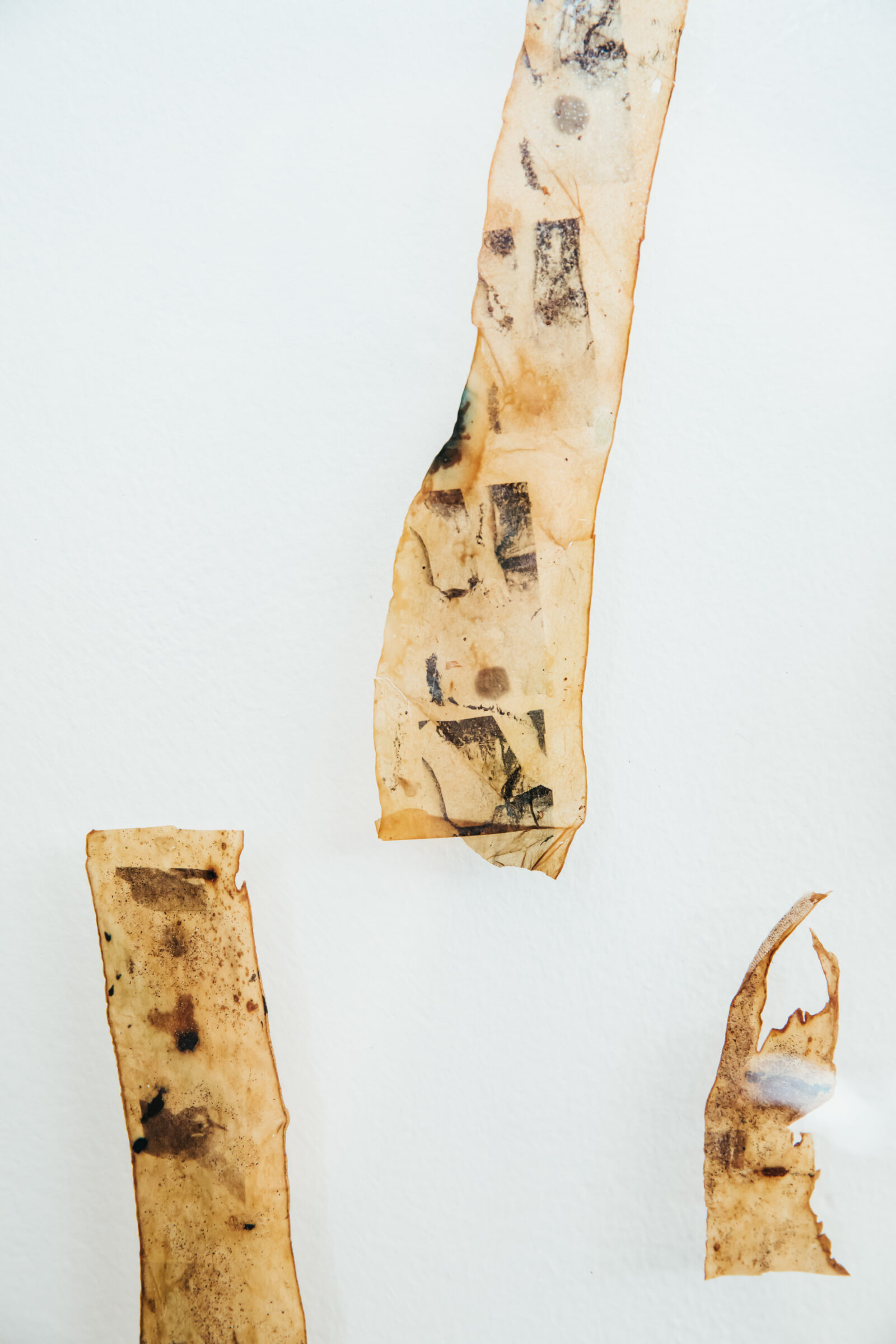 NEW EXHIBITION // The Sustainable Darkroom Crescent Arts