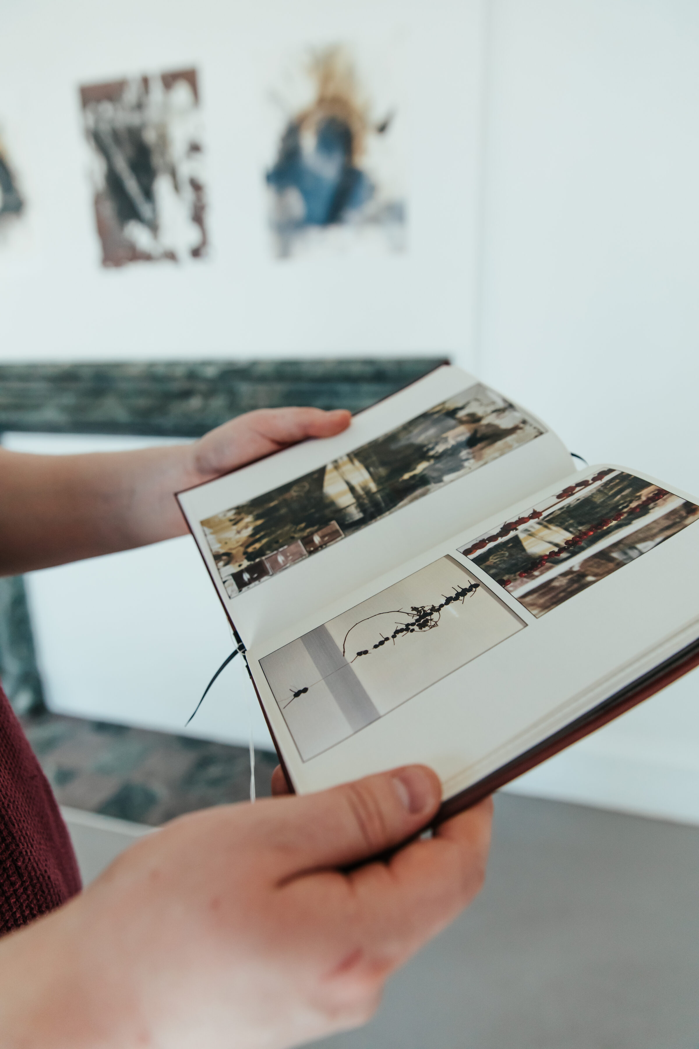 NEW EXHIBITION // The Sustainable Darkroom Crescent Arts